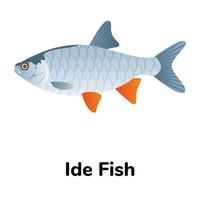 une icône plate de poisson d'eau douce vecteur