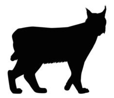 animal panthère noire vecteur