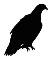 silhouette d'aigle sauvage vecteur