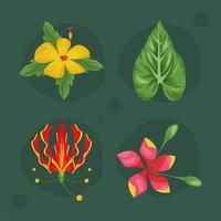 quatre plantes tropicales exotiques vecteur