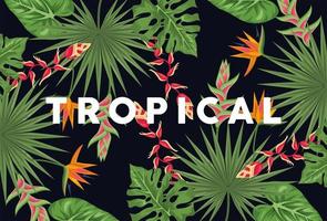 fond de plantes tropicales exotiques vecteur