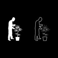 homme prenant soin de la plante de marijuana en pot pulvérisation d'eau à l'aide d'un arroseur à main arrosage jardinage récolte concept à la maison silhouette illustration vectorielle de couleur blanche image de style de contour solide vecteur