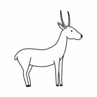 antilope de griffonnage. ligne de contour d'illustration vectorielle. gazelle africaine. livre de coloriage avec des animaux pour les enfants. chèvre sauvage. vecteur