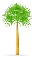 illustration vectorielle palmier vecteur