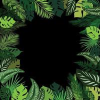 cadre d'été de feuilles tropicales, fond d'écran de feuilles de palmier tropical, feuilles tropicales sur fond noir. illustration pour différents graphiques design.vector vecteur