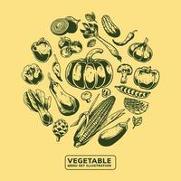 illustration de légumes pour la conception d'éléments vecteur