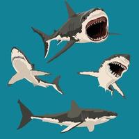 jeu d'illustration animale de caractère vectoriel de requin