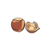 ensemble de noisettes, noix et écorces brunes, illustration vectorielle dessinée à la main vecteur