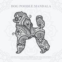 vecteur de mandala de chien. svg de style bohème. eps 10