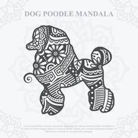 vecteur de mandala de chien. svg de style bohème. eps 10