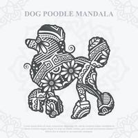 vecteur de mandala de chien. svg de style bohème. eps 10