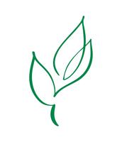 Silhouette stylisée de vecteur de feuille d&#39;arbre de printemps Logo isolé sur fond blanc. Eco signe, label nature. Elément décoratif pour marques médicales et écologiques