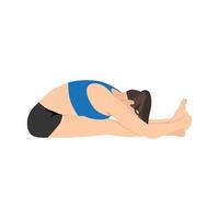 femme faisant paschimottanasana exercice de flexion avant assis. illustration de vecteur plat isolé sur fond blanc