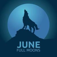 juin pleine lune illustration vectorielle vecteur