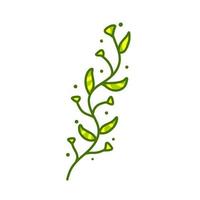 branche avec des feuilles vertes. plante et partie d'arbre. illustration de dessin animé plat isolé sur blanc. symbole de fraîcheur vecteur