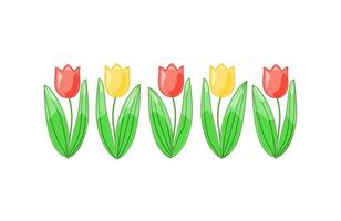 tulipes vectorielles mignonnes sur fond blanc. pour la décoration, les cartes postales et les illustrations. vecteur