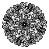 fleurs de mandala aster florales, dessinées à la main dans un style doodle isolé sur fond blanc. coloration amusante et mignonne pour le design saisonnier, le textile, la décoration de la salle de jeux pour enfants ou la carte de voeux. chrysanthème. vecteur