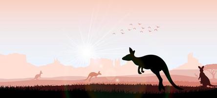 kangourou silhouette le soir vecteur