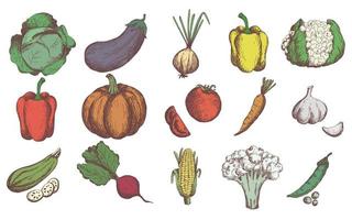 ensemble de légumes de croquis. collection de légumes de jardin dessinés à la main vintage. citrouille. tomate, carotte, chou, courgette, poivron, chou-fleur, ensemble de vecteurs de betterave. vecteur