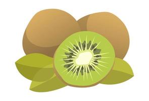 kiwi réaliste sur fond blanc - vecteur