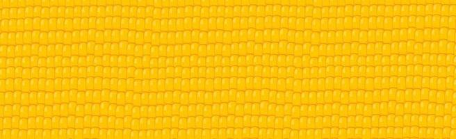 panoramique jaune - fond de grain de maïs orange - vecteur