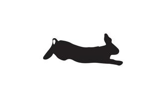 lapin vector illustration design noir et blanc