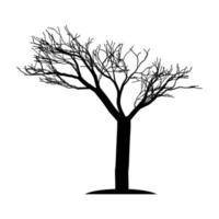 silhouette d'un arbre sans feuilles vecteur