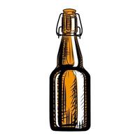 bouteille de bière artisanale. mode de gravure. illustration dessinée à la main isolée vecteur