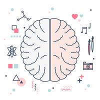 Hémisphères du cerveau humain vecteur