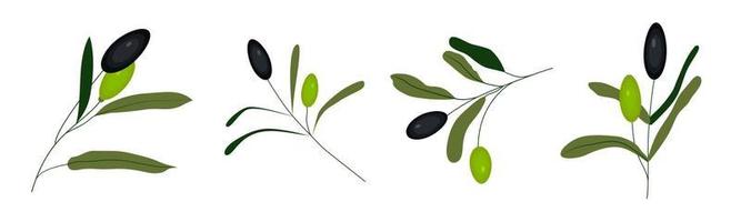 ensemble de branches d'olivier vecteur vert et noir isolé sur fond blanc. les olives sont un signe d'huile, des produits sains, des cosmétiques biologiques, des aliments écologiques, un élément naturel.