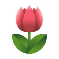 Fleur de tulipe vector icon