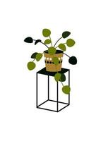 illustration vectorielle d'une plante grimpante en pot sur support isolé sur blanc. plante d'intérieur dans un pot. élément de design d'intérieur. vecteur