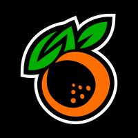 Illustration de fruits orange vecteur