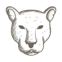 graver tête d'animal lionne logo symbole vecteur icône illustration design