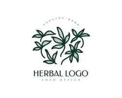 création de logo à base de plantes vintage. illustration de feuille pour les logos nature, cosmétique, santé et beauté. logo de bien-être abstrait vecteur