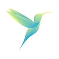 abstrait coloré bleu colibri mouche logo symbole icône vecteur conception graphique illustration