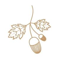 beau fruit de chêne avec feuille logo symbole vecteur icône illustration graphisme