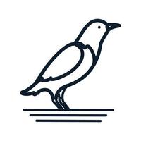 ligne d'oiseau minimaliste logo moderne icône illustration vectorielle vecteur