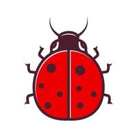 animal insecte dessin animé rouge coloré lady bug logo design vecteur icône symbole illustration