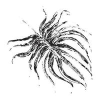 feuille de palmier vecteur