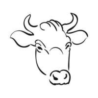illustration de tête de vache vecteur