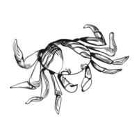 illustration de croquis de crabe vecteur
