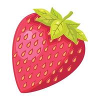 illustration vectorielle de fraise