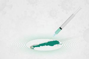 concept de vaccination argentine, injection de vaccin sur la carte de l'argentine. vaccin et vaccination contre le coronavirus, covid-19. vecteur