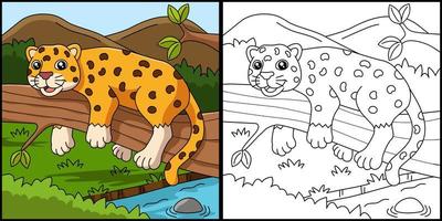 illustration vectorielle de jaguar à colorier