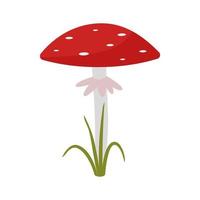 tue-mouche, un champignon vénéneux, de couleur rouge avec un point blanc. illustration vectorielle isolée. vecteur