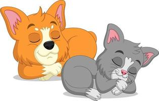 dessin animé mignon chat et chien corgi endormi vecteur