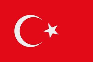 icône de vecteur de drapeau turc. le drapeau de la Turquie.