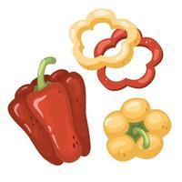 ensemble de poivrons sur fond blanc. paprika jaune et rouge, tranches, rondelles. illustration vectorielle de légumes dans un style plat simple de dessin animé vecteur