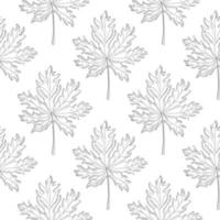 motif géométrique sans soudure de feuille d'érable sur fond blanc. feuilles monochromes papier peint vintage. style gravé. vecteur